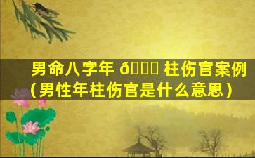 男命八字年 🐅 柱伤官案例（男性年柱伤官是什么意思）